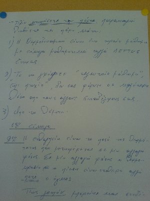 Paparies 01.JPG