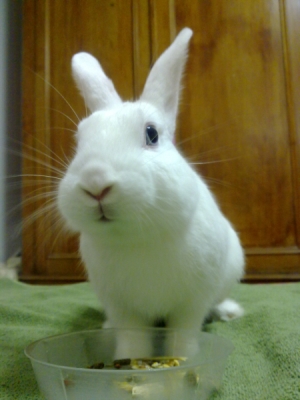 06092010054.jpg