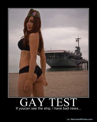 The_Gay_Test_4.jpg