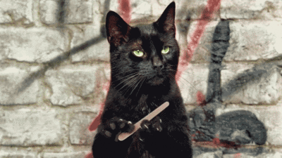 this_is_me_giving_a_fuck_by_wernette-d3azaf0.gif
